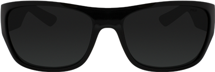 Polo Ralph Lauren Ph4074 Shiny Black Sunglasses Front - Black Glasses Front Png (500x300), Png Download