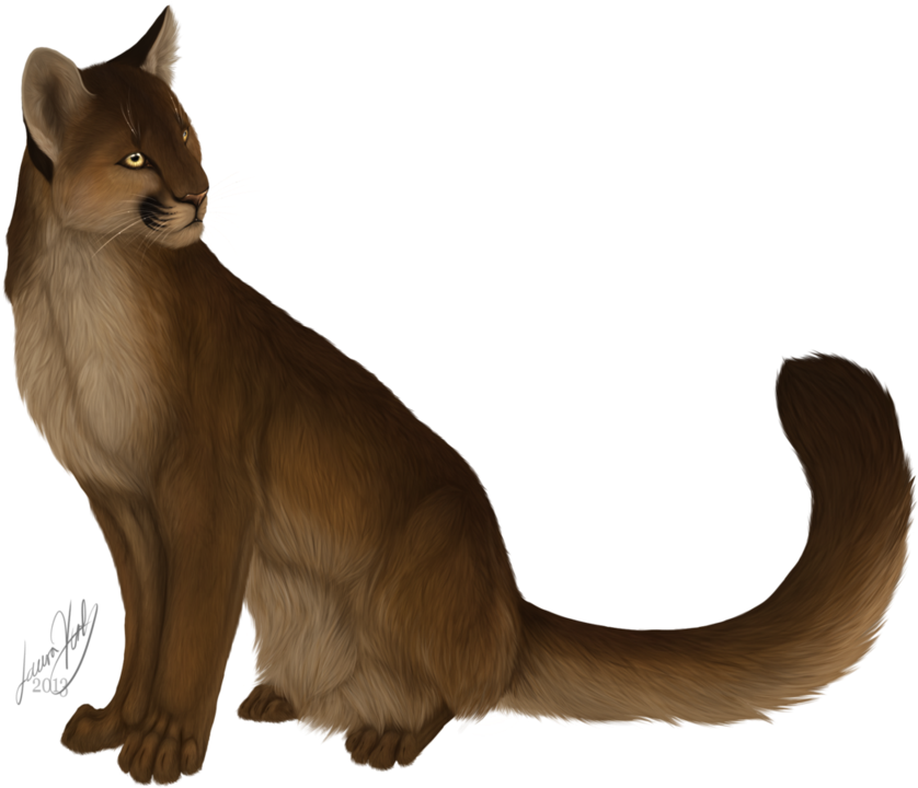 Mountain Lion By Xxcougarxx On Deviantart Royalty Free - Painting (1029x777), Png Download