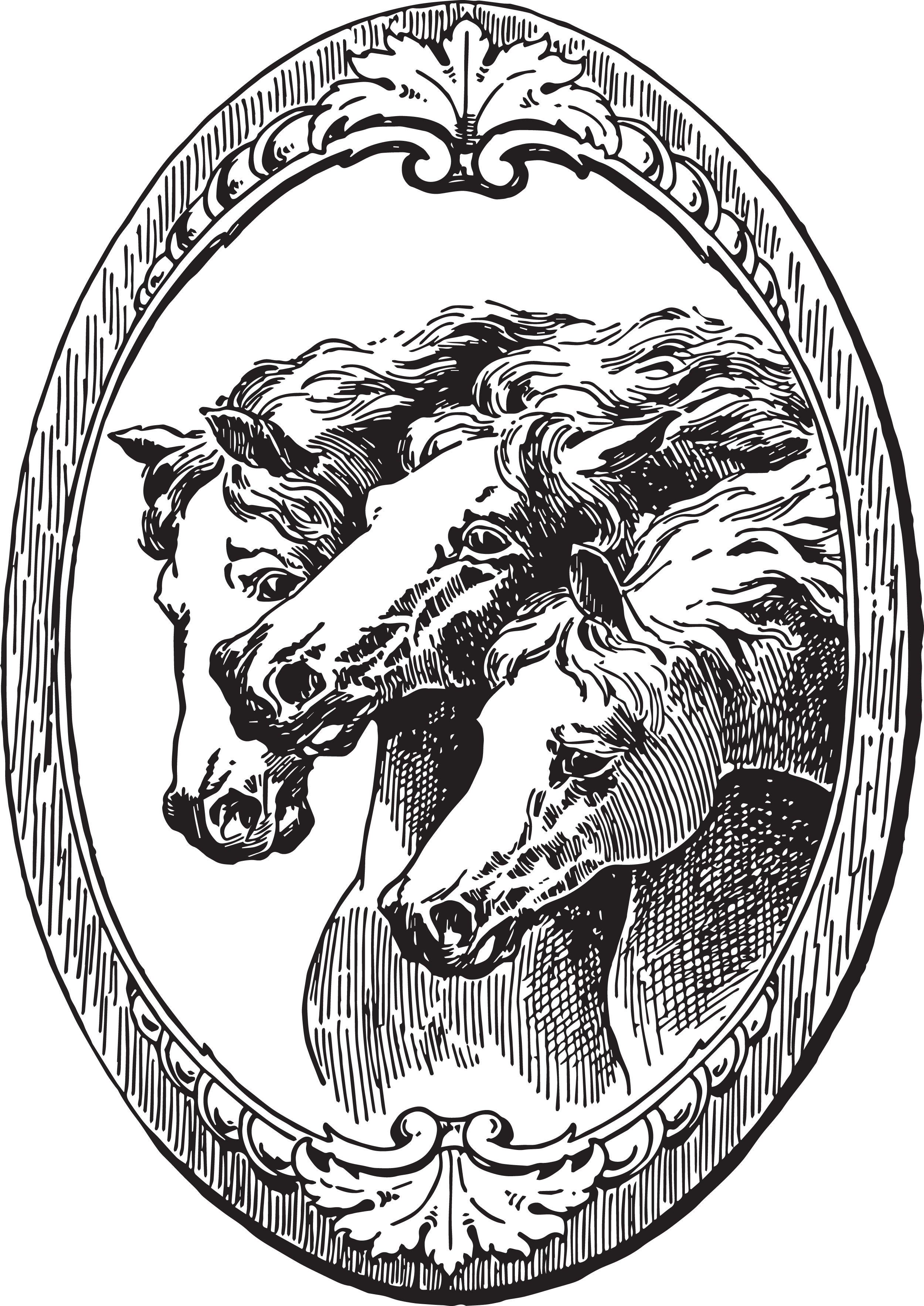 Oval Frame» In Png Format With Transparent Background - Horse Illustration Vintage (2500x3532), Png Download