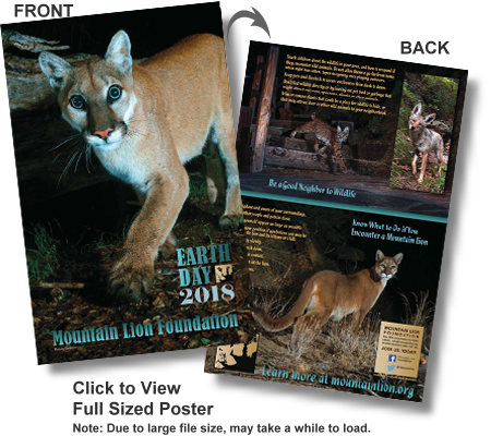 Photo Of Mountain Lion 2018 Earth Day Poster - Lion (450x400), Png Download
