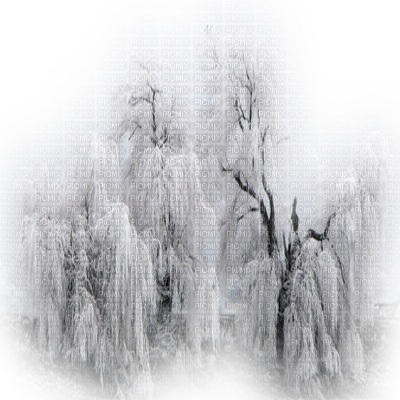 Winter Snow Tree - Paysages D Hiver Png (400x400), Png Download