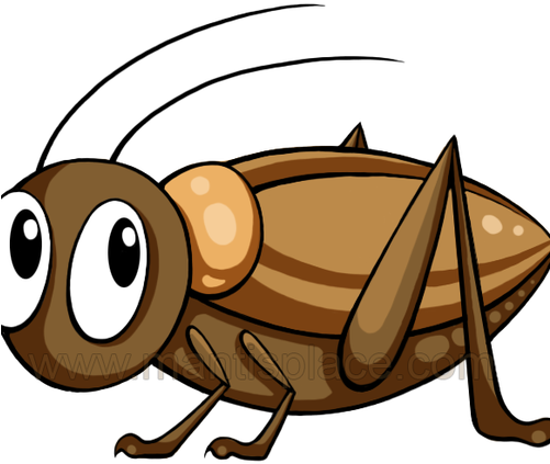 Brown Cricket Insect - Brown Cricket Insect Clipart (500x500), Png Download
