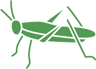Pest Control Service For Crickets - Pest (501x501), Png Download
