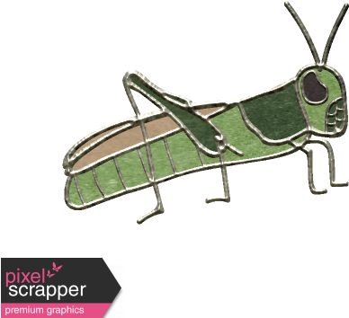 Cricket - Digital Scrapbooking (456x456), Png Download