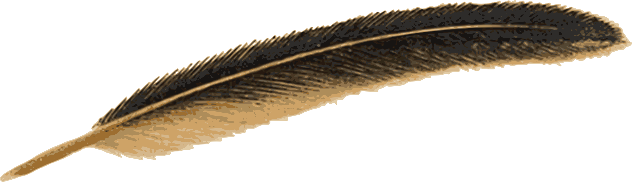 Peacock Feather Pen Png - Old Feather Pen Png (2400x692), Png Download
