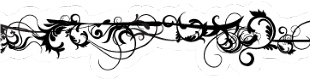 Decorative Border Png Transparent Images - Png Decorative Border (640x480), Png Download