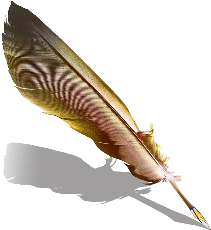 Quill Fountain Pen Transprent - Fountain Pen Feather (800x800), Png Download