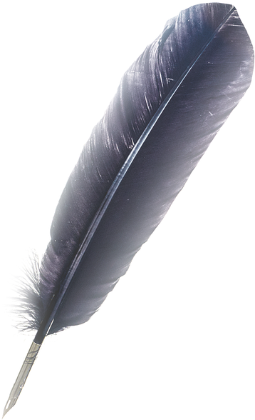 Feather Pen Png - Feather (358x615), Png Download