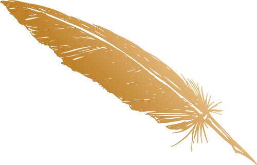 Find Us - Feather (500x321), Png Download