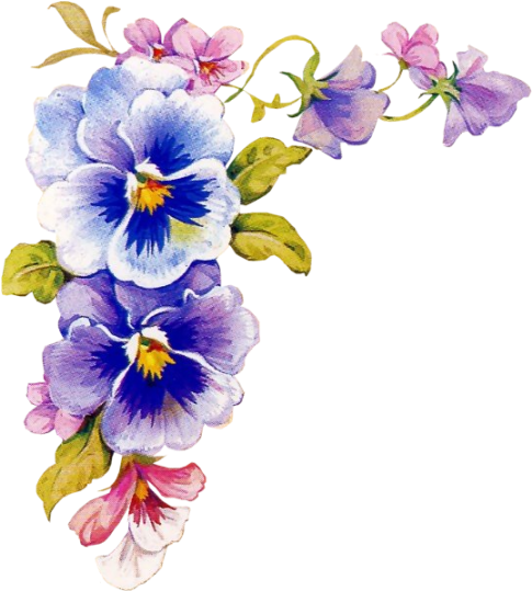 Floral Border - Esquinero De Flores (514x576), Png Download
