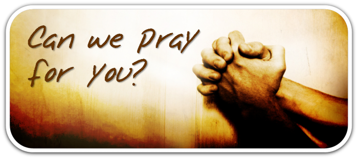 Praying Hands - Can We Pray For You (700x312), Png Download