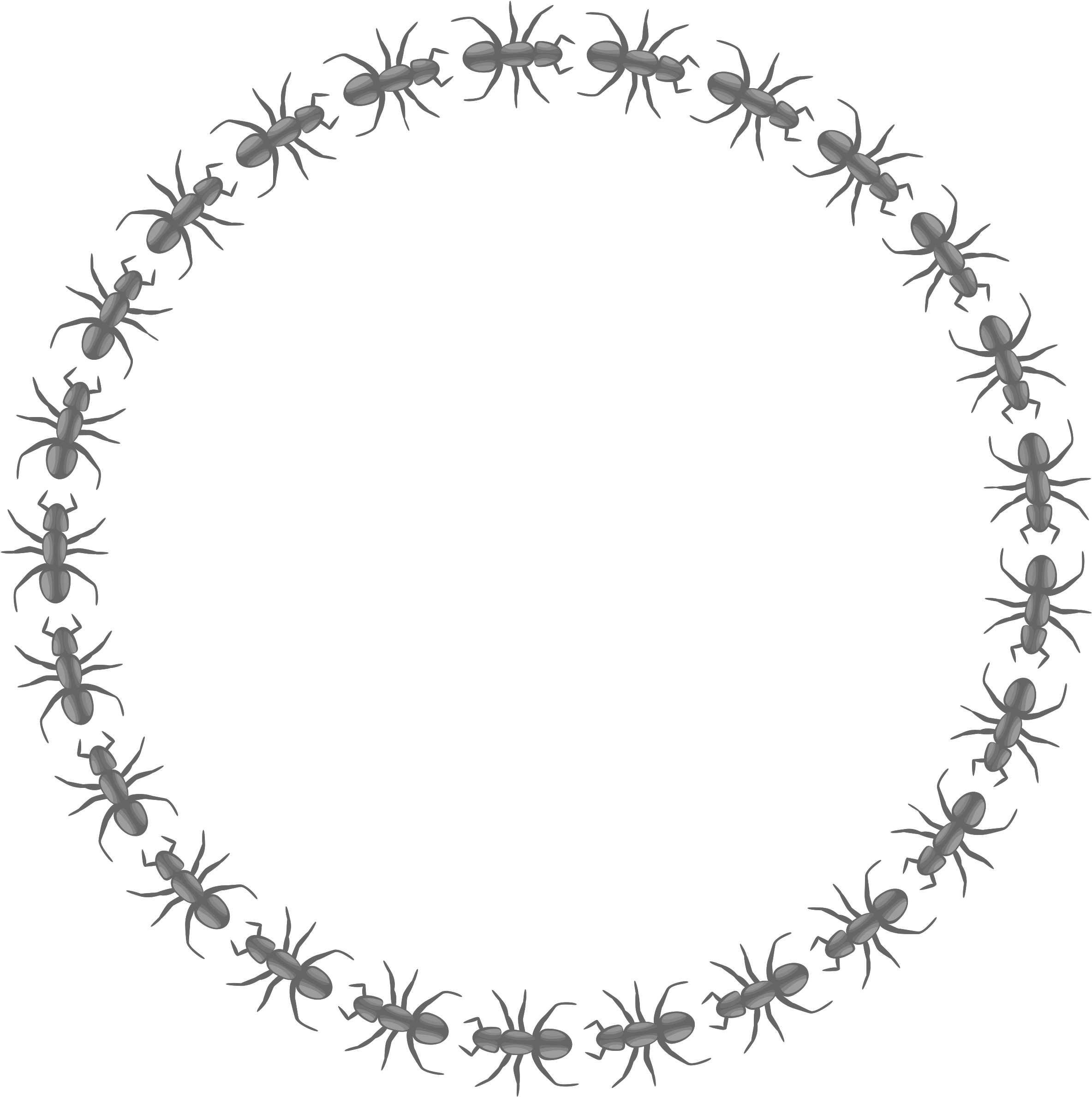 Clipart Ant Border Circle Big Image Png - Circle Border Gif Png (2400x2411), Png Download