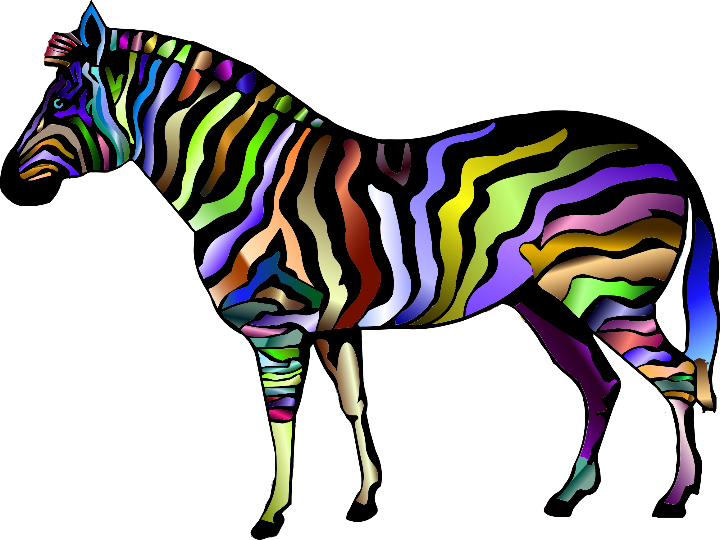 Picture Download Animal Print Clipart - Zebar Animal (2318x1738), Png Download