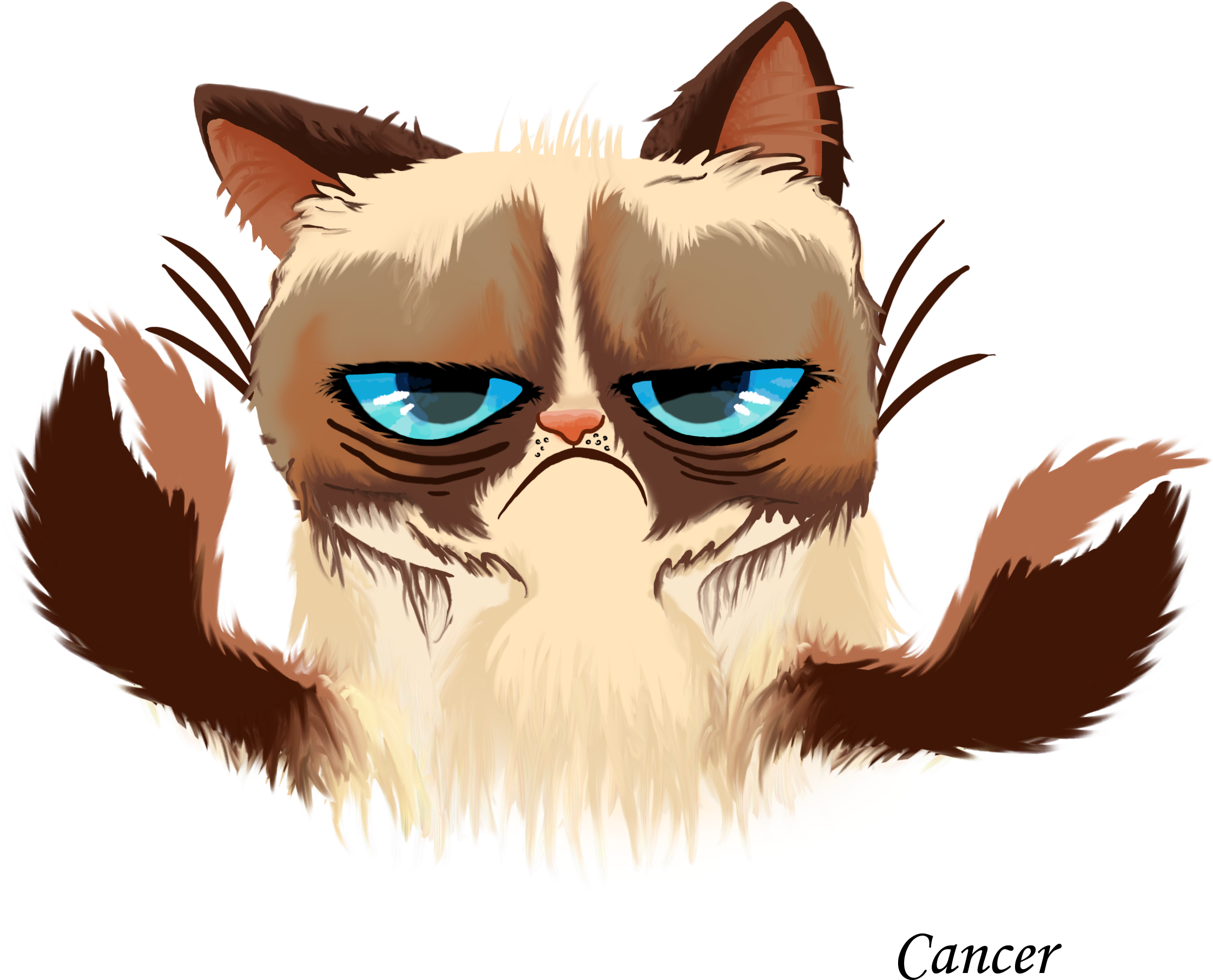 Grumpy Cat Cancer Horoscope - Grumpy Cat Horoscope (2480x2212), Png Download