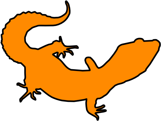 Leopard Gecko Lizard Stock Photo - Leopard Gecko Outline (744x1052), Png Download