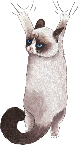 Your Own Images And Videos On We Heart It - Hanging Cat Illustration (500x736), Png Download