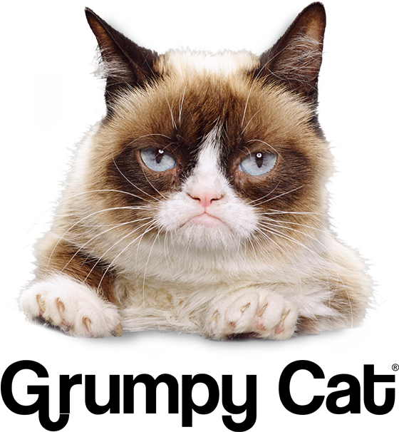 729 Grumpy Cat Supporting - Grumpy Cat Smile (648x640), Png Download