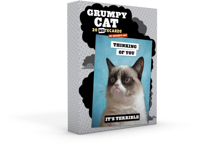 Prev / Next (800x600), Png Download