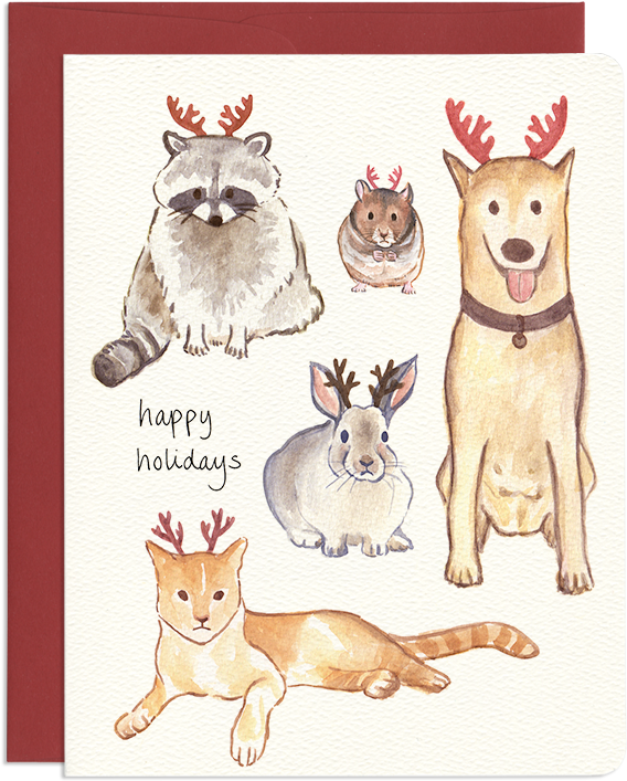 Festive & Grumpy Animal Friends Holiday Greeting Card - Greeting Card (800x800), Png Download