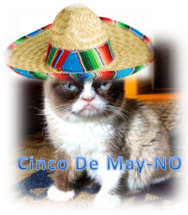 Boyce And Hart On Twitter - Grumpy Cat Cinco De Mayo (599x686), Png Download