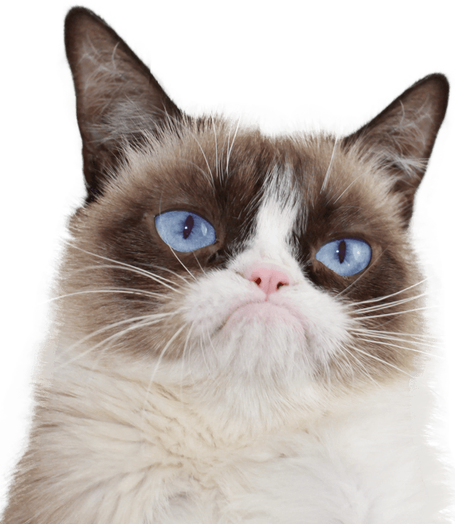 Hach Nee, Wat Süß Und Teuer - Go Away Cat Poster (640x736), Png Download