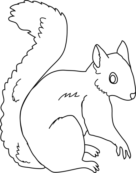 Squirrel Coloring Page - Clip Art Of Squirrel In Black And White (435x550), Png Download