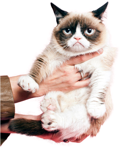 Grumpy Cat Png - Cute Happy Monday (500x610), Png Download