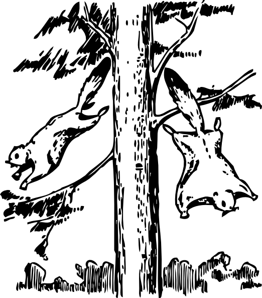 Flying Squirrels Svg Clip Arts 522 X 593 Px (522x593), Png Download