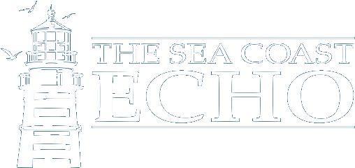 Sea Coast Echo (516x248), Png Download