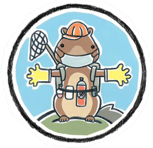 Scaredy Squirrel Emergency Kit (640x480), Png Download