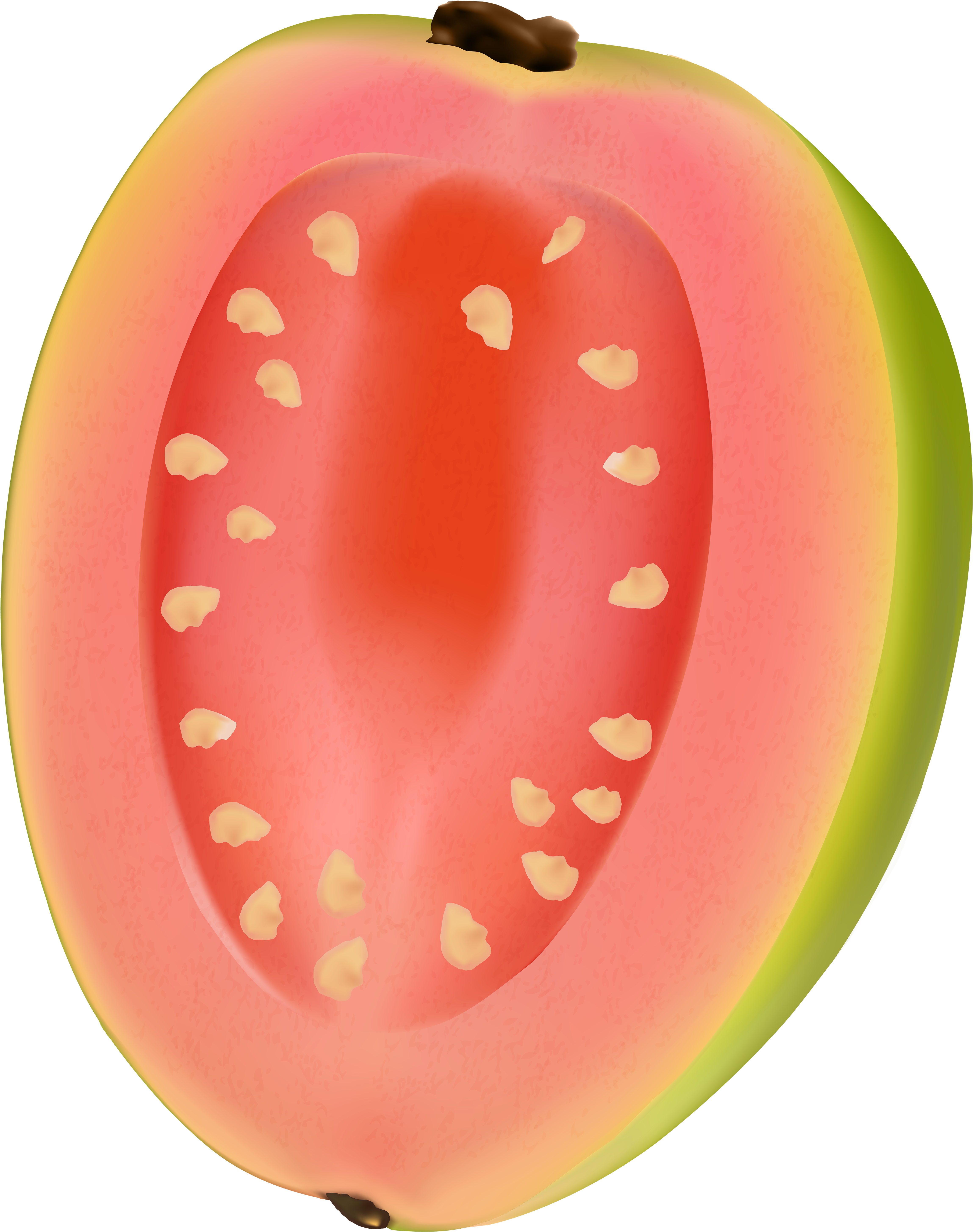 Fruit (4712x6000), Png Download