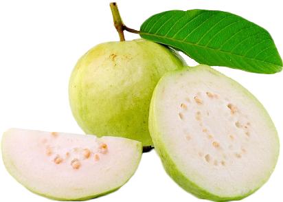 Pera Fruit In English (500x381), Png Download
