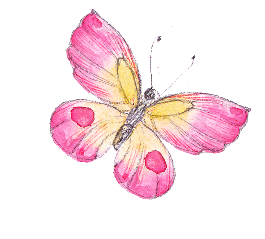 Pink Butterfly Ornament Material - Mariposa En Rosa Png (1024x1100), Png Download