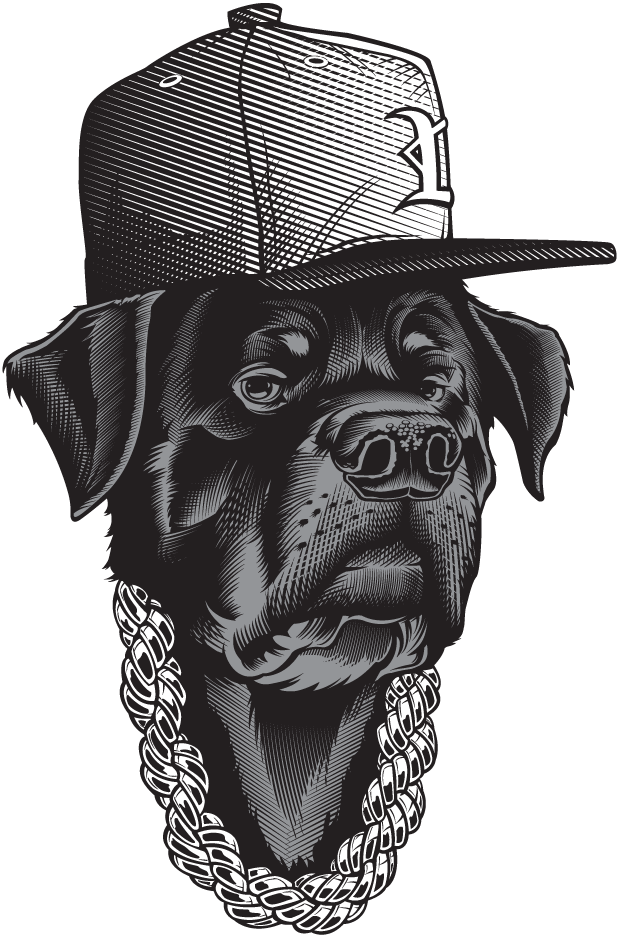 Hat And Chain Wearing Rottweiler Apparel Design Graphics - Instagram (850x950), Png Download