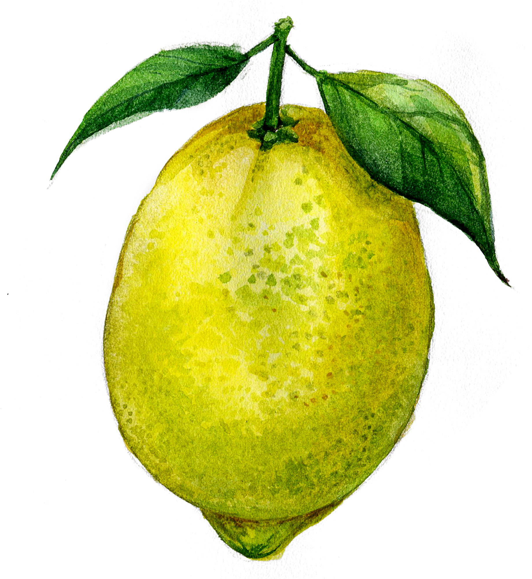 Juice Lemon Fruit Transprent Png Free Download - Lemon (2000x2000), Png Download