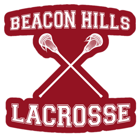 Field Lacrosse (493x480), Png Download