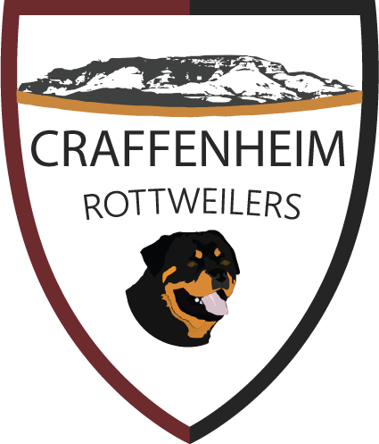 Craffenheim Rottweilers - Rottweiler Breeding - Rottweiler (425x497 ...