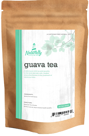 Submit A Comment Cancel Reply - Bag (313x479), Png Download