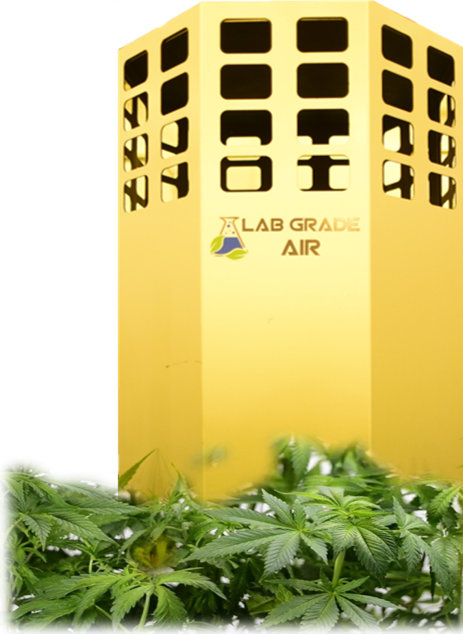 Lab Grade Air Air Duct Purification Clean Marijuana - Architecture (676x926), Png Download