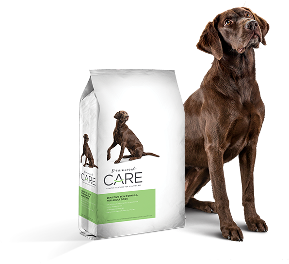 Sensitive Skin Formula For Adult Dogs - Diamond Care Sensitive Skin Dog Food (800x750), Png Download