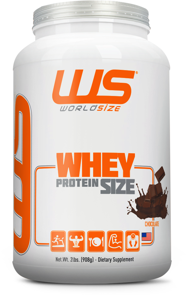 Ws Whey Chocolate A4 - Whey Protein Ws (688x1004), Png Download