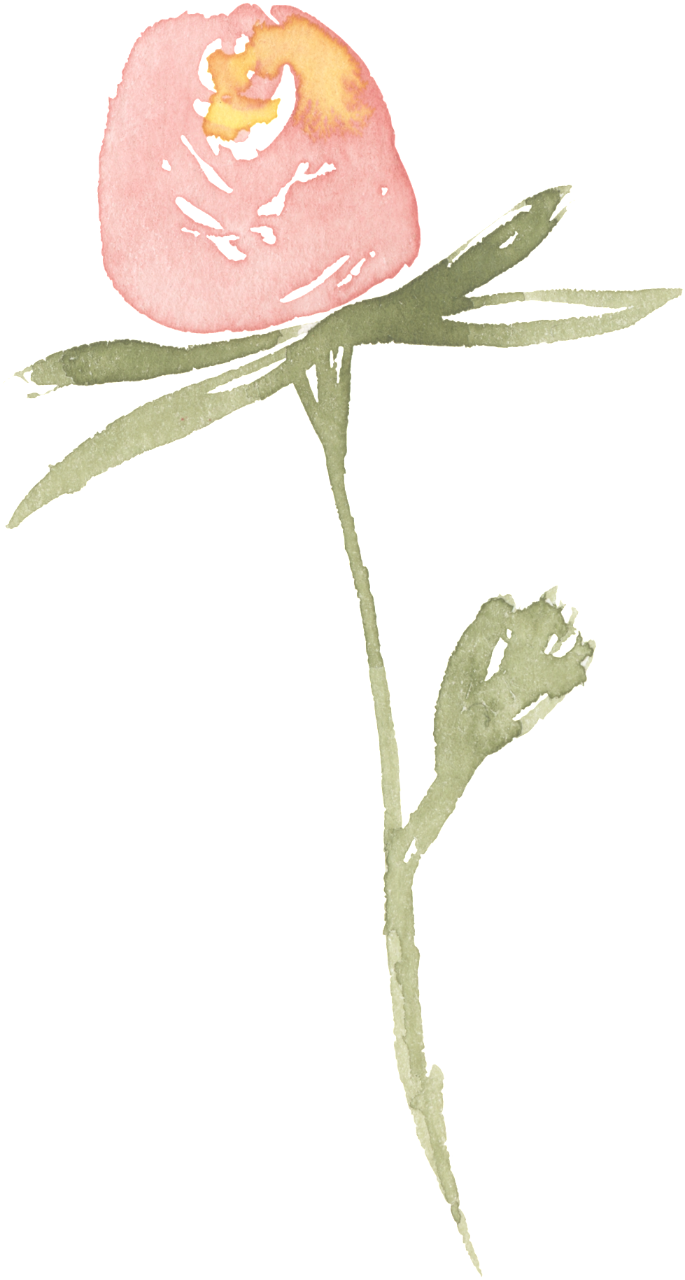 Pink Rose Transparent Decorative - Garden Roses (1024x1974), Png Download