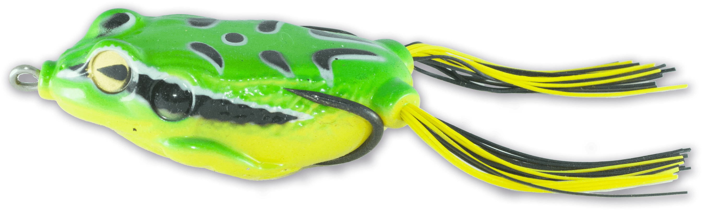 Green Frog - Castaic (2722x897), Png Download