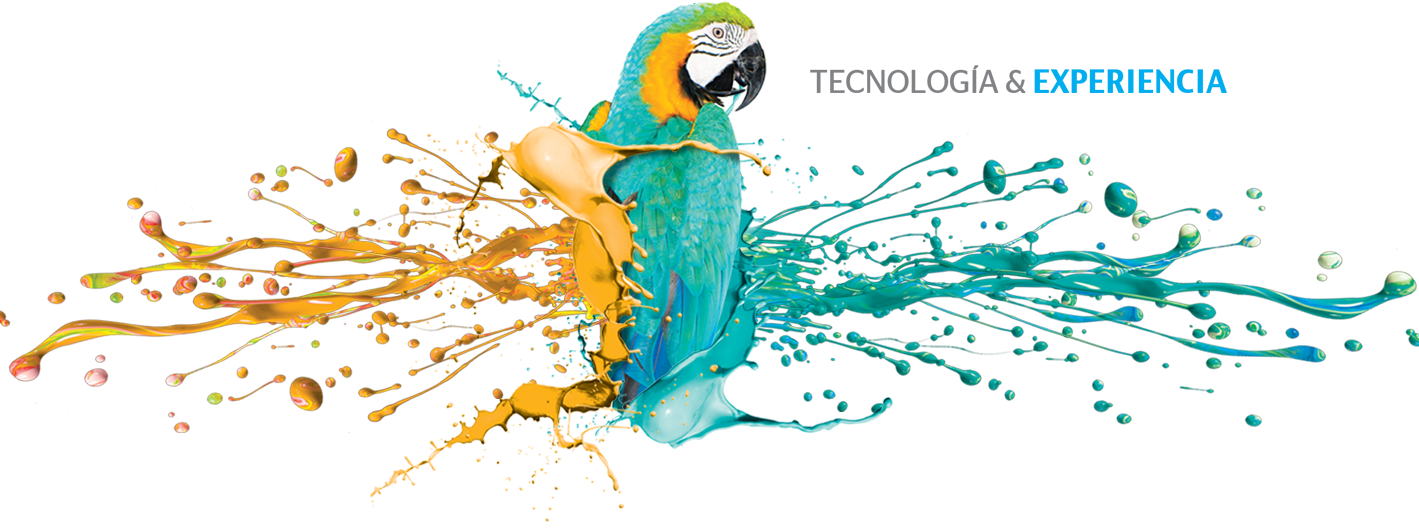 2012 Editorial Del Sur, S (1419x528), Png Download