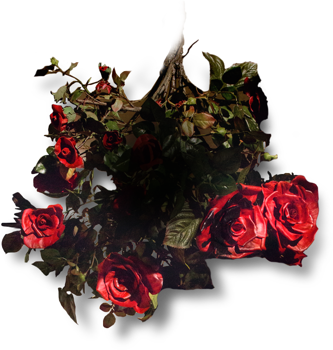 The Cast - Garden Roses (669x704), Png Download