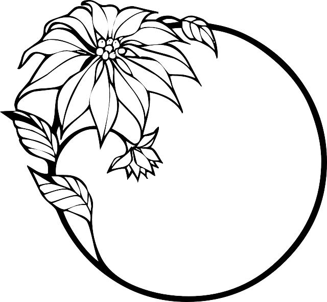 Poinsettia, Christmas, Christmas Flower, Wreath - Flowers Clip Art Black And White Border (640x591), Png Download