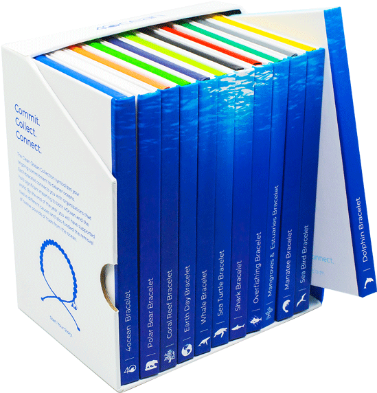 2018 Clean Ocean Collection - 40cean Dolphin Bracelet (600x600), Png Download