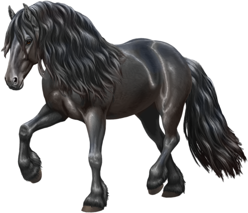 Click And Drag To Re-position The Image, If Desired - Friesian Horse (583x700), Png Download