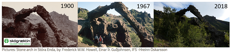 10 Jan - Outcrop (800x400), Png Download