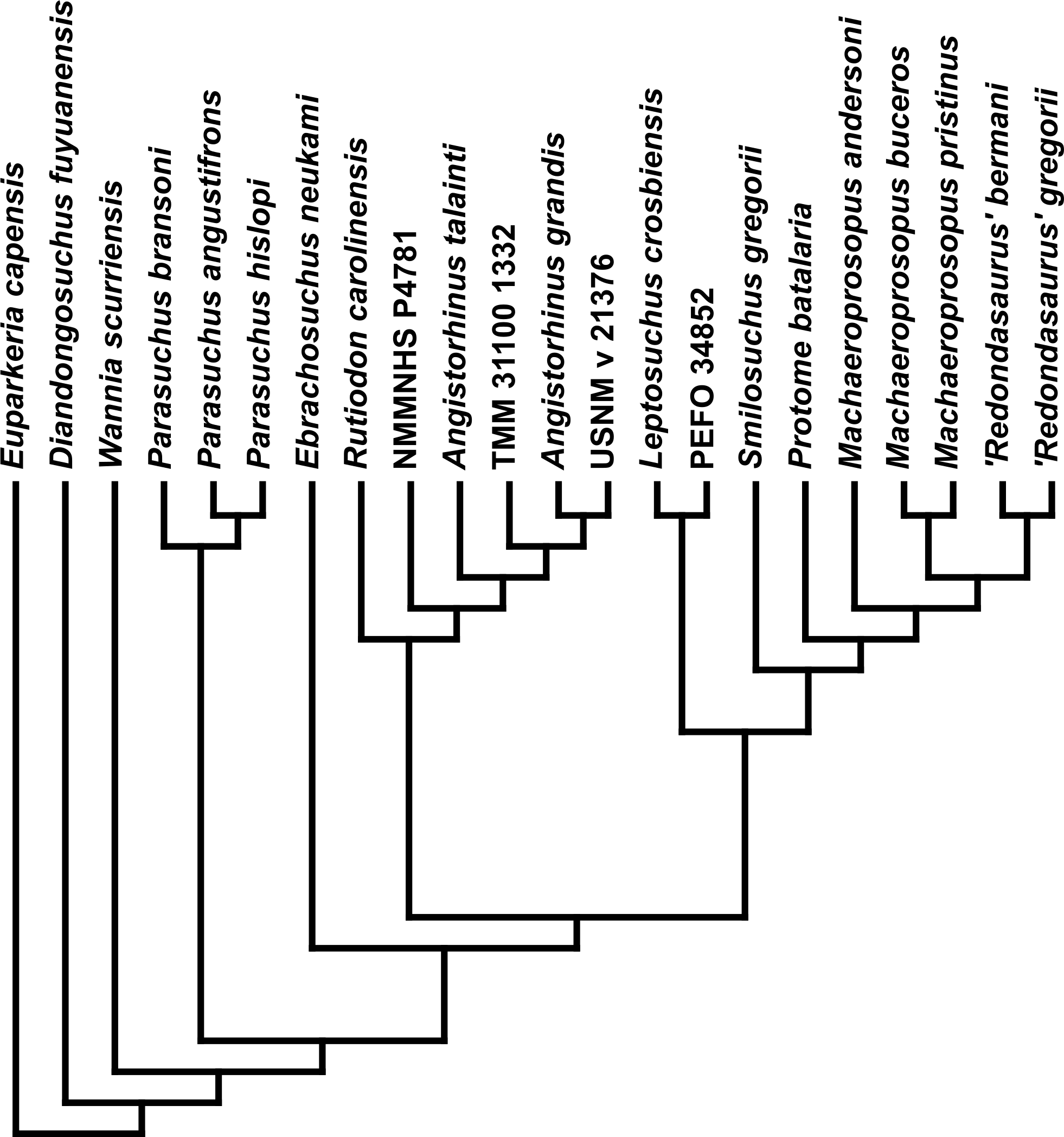 Download - Number (1962x2095), Png Download